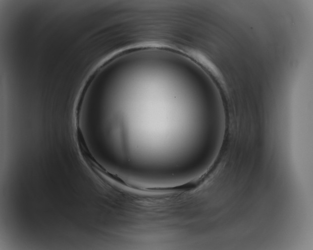 X0000089961380200706291222