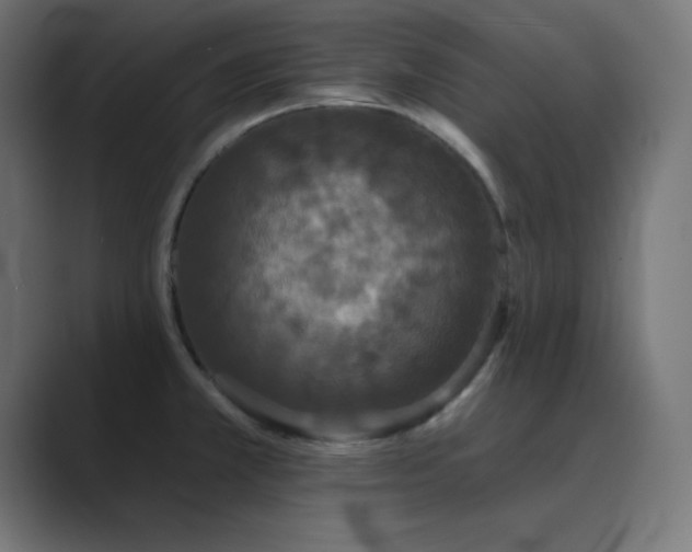 X0000089961381200706291222