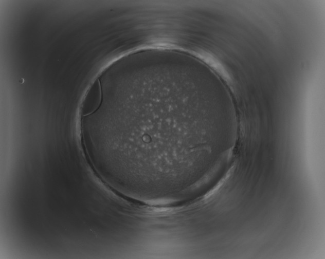 X0000089961382200706291222