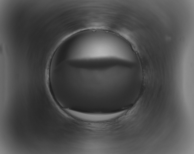 X0000089961383200706291222