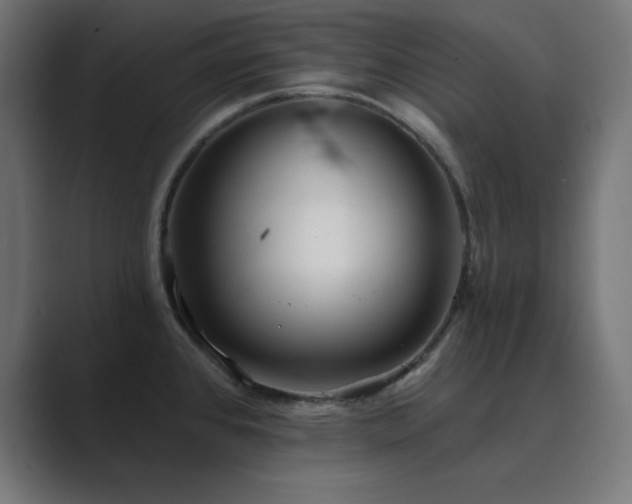 X0000089961384200706291222