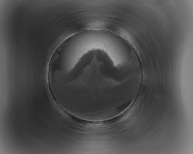 X0000089961386200706291222