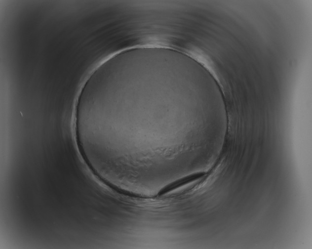 X0000089961387200706291221