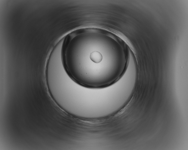 X0000089961388200706291221