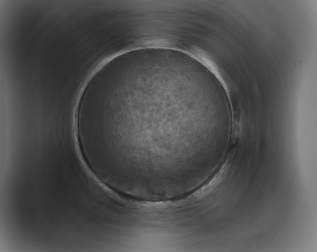 X0000089961389200706291221
