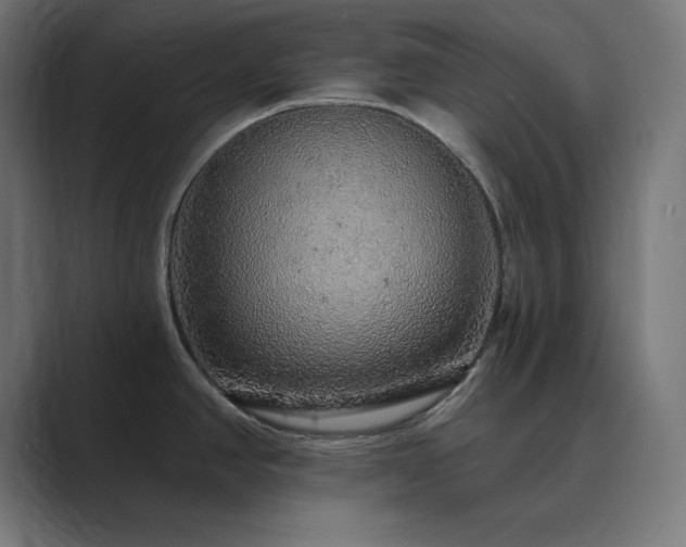 X0000089961390200706291221
