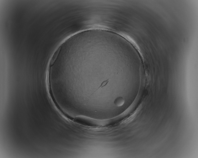 X0000089961391200706291221