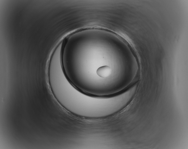 X0000089961392200706291221