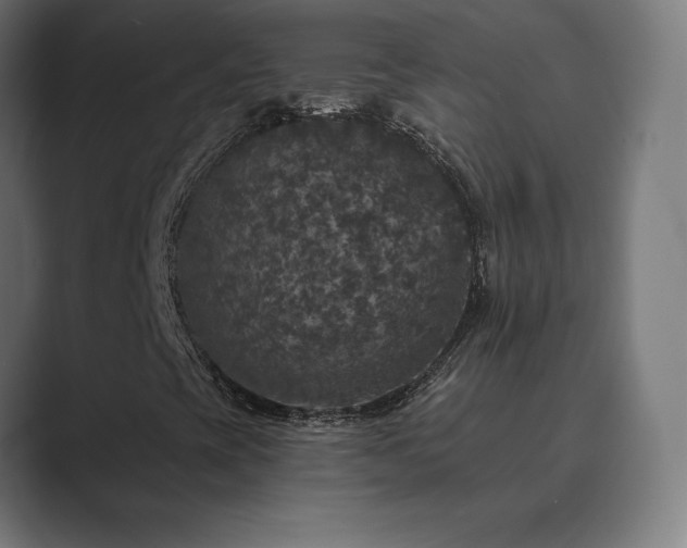 X0000089961393200706291221