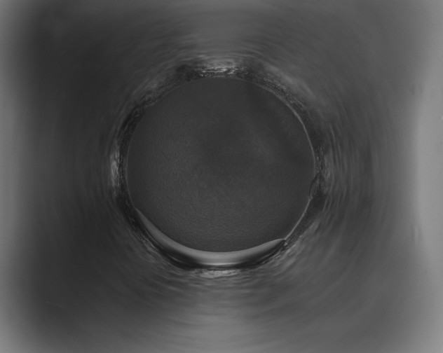 X0000089961394200706291221