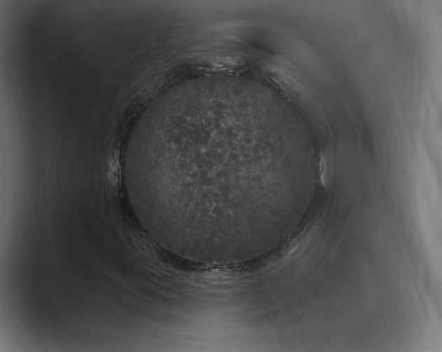 X0000089961395200706291221