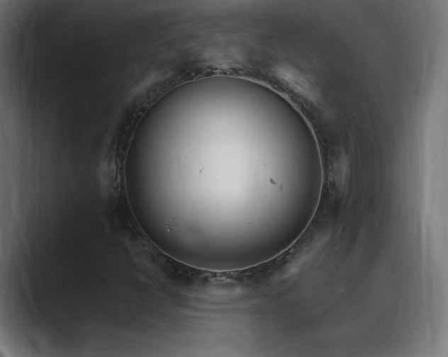 X0000089961398200706291221