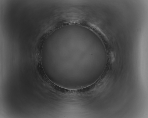 X0000089961399200706291221