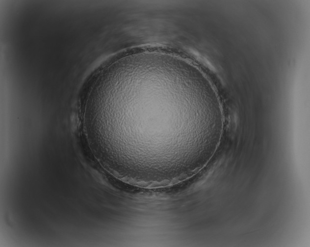 X0000089961400200706291221