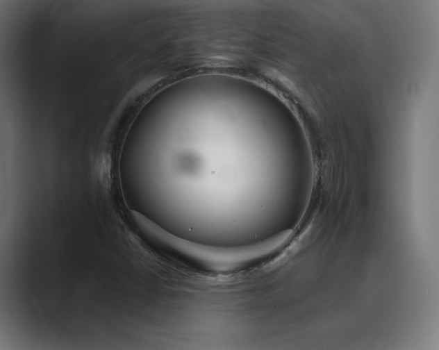 X0000089961402200706291221
