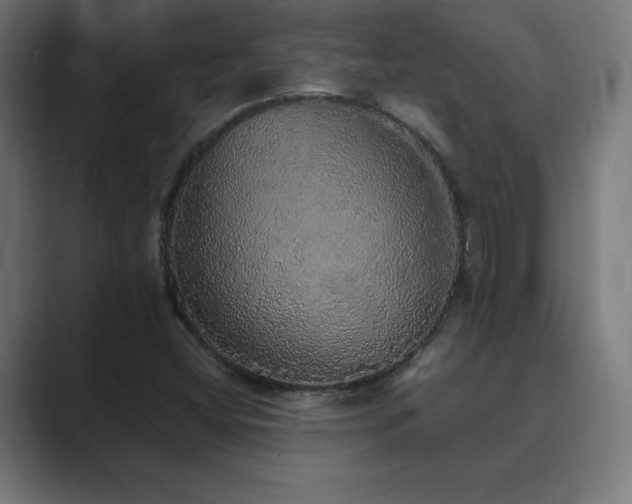 X0000089961404200706291221