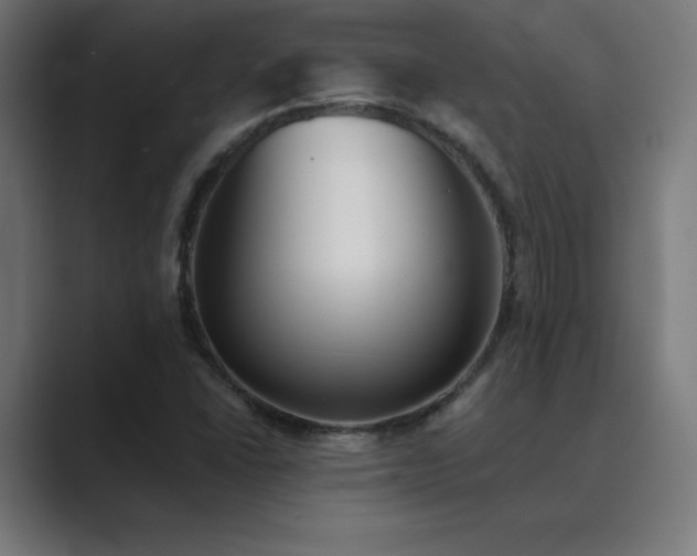 X0000089961406200706291221