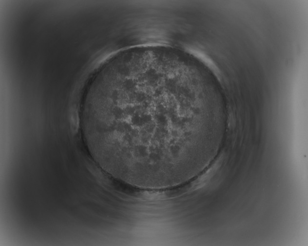 X0000089961407200706291221