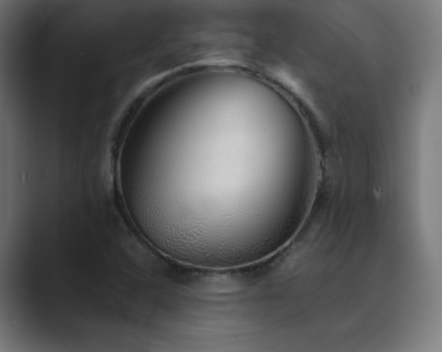 X0000089961408200706291221