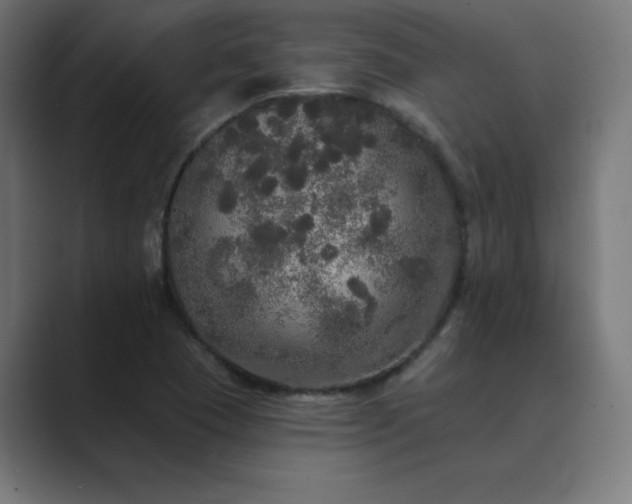 X0000089961409200706291221