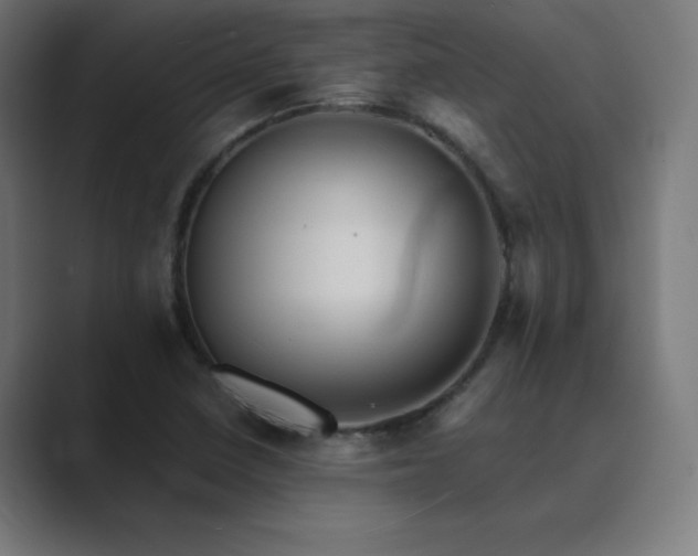 X0000089961410200706291221