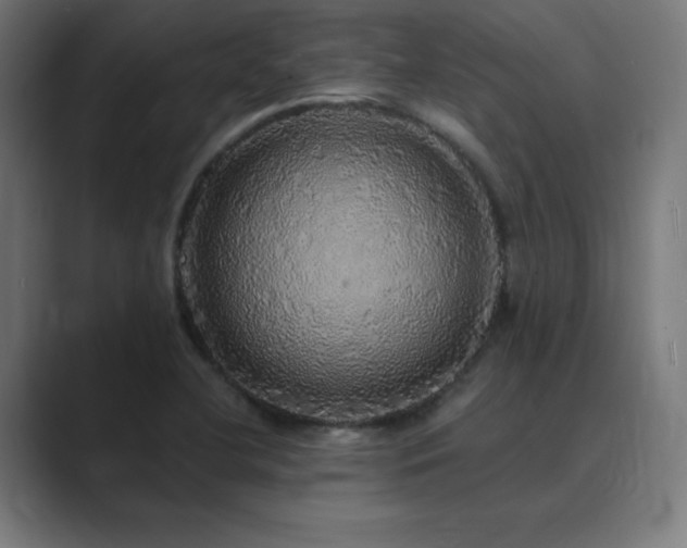 X0000089961412200706291221