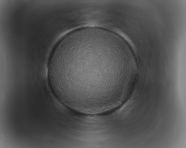 X0000089961416200706291221