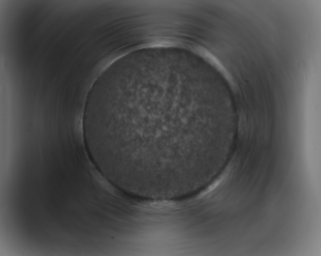 X0000089961417200706291221