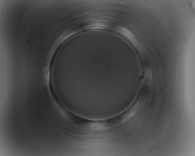 X0000089961418200706291221