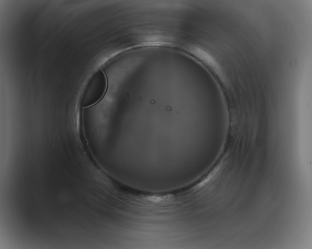 X0000089961419200706291221