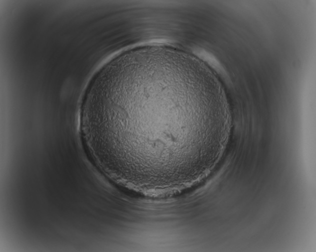 X0000089961420200706291221