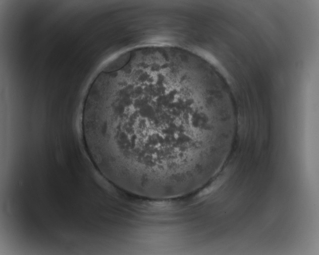 X0000089961421200706291221