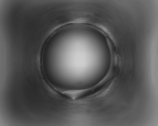 X0000089961422200706291221