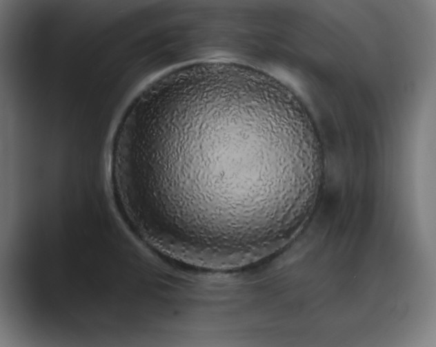 X0000089961424200706291221