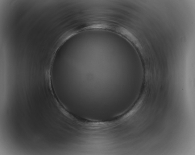 X0000089961425200706291221