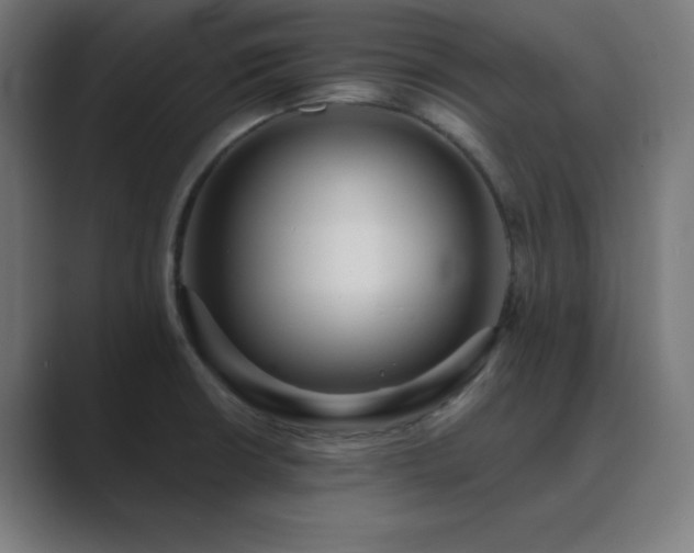 X0000089961426200706291221