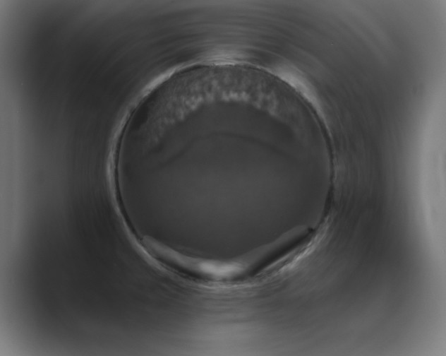 X0000089961429200706291221