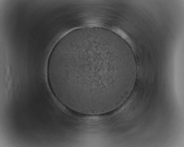 X0000089961431200706291221