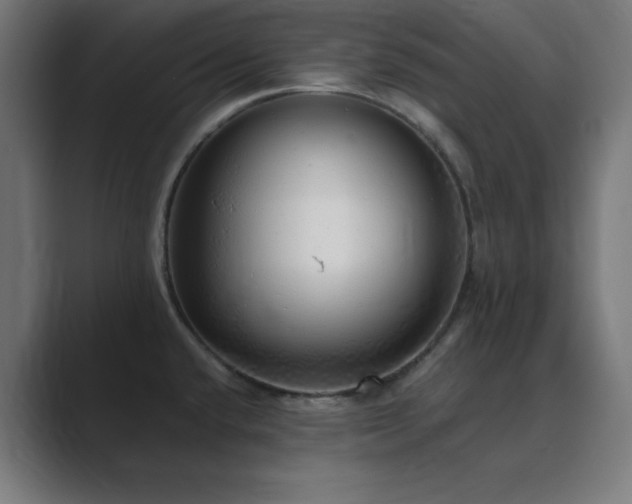 X0000089961432200706291221