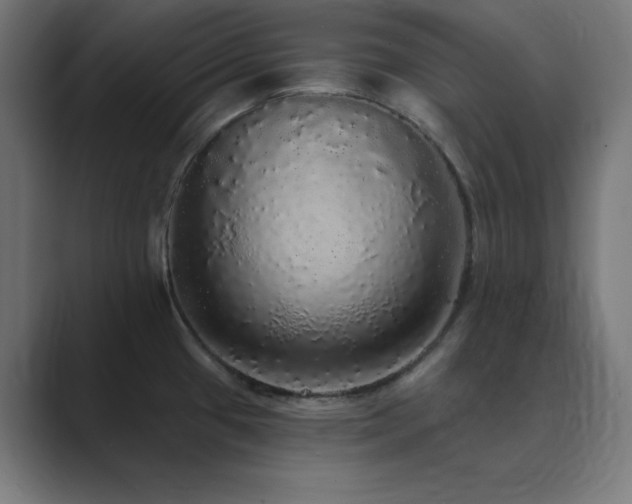 X0000089961433200706291221