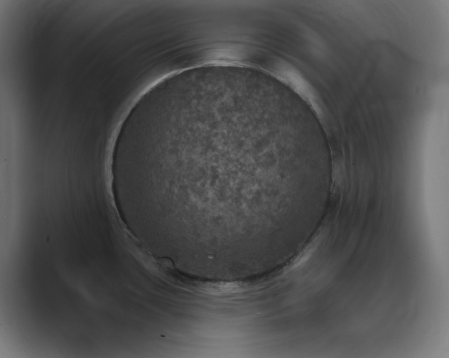 X0000089961435200706291221