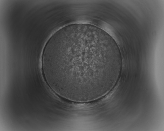 X0000089961436200706291221