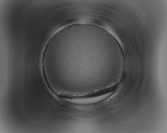 X0000089961437200706291221