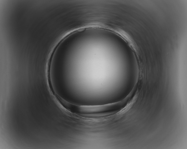 X0000089961438200706291221