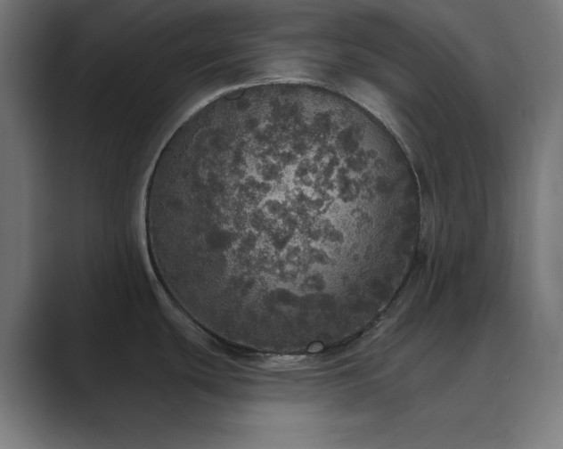 X0000089961439200706291221