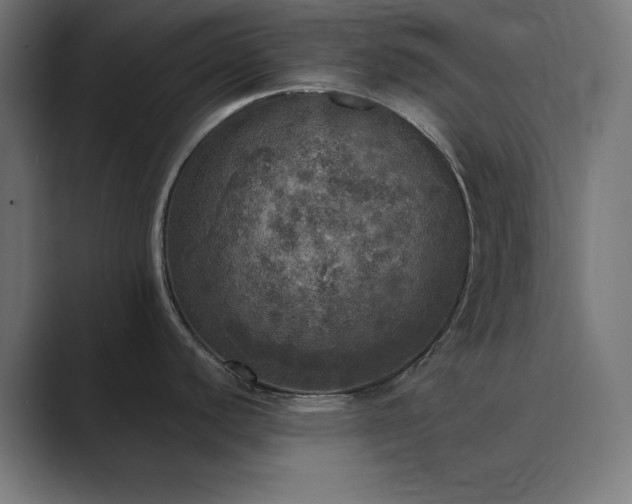 X0000089961440200706291221