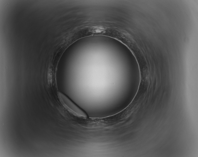 X0000089961442200706291221