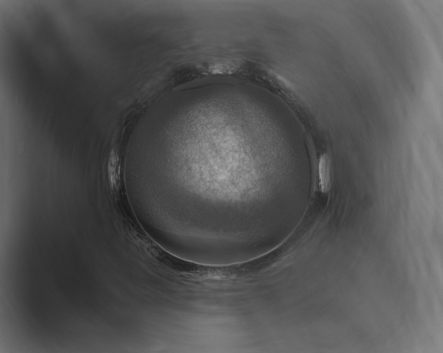 X0000089961443200706291221