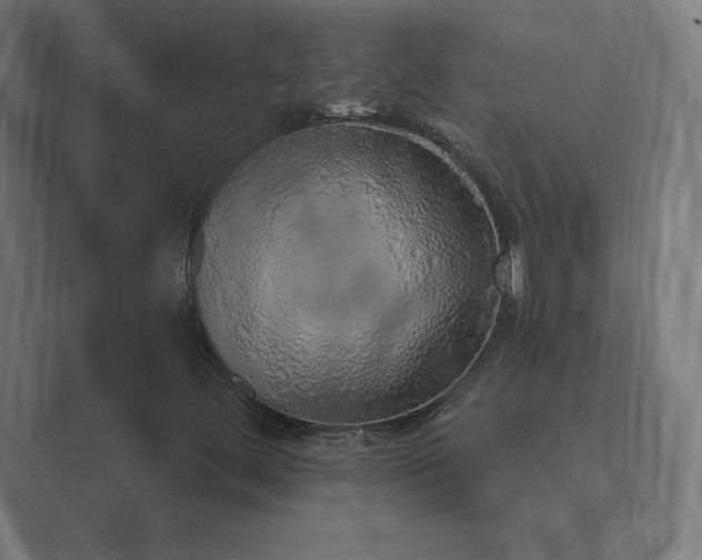 X0000089961444200706291221