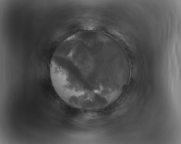X0000089961446200706291221